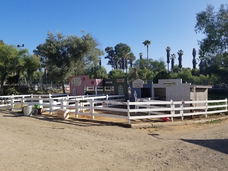 Peter Weber Equestrian Center photo 2
