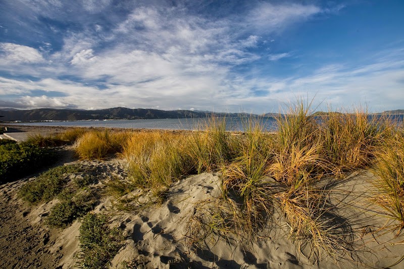 Petone Settlers Museum