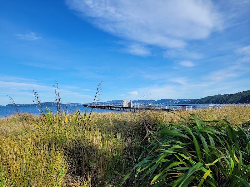 Petone Settlers Museum photo 3
