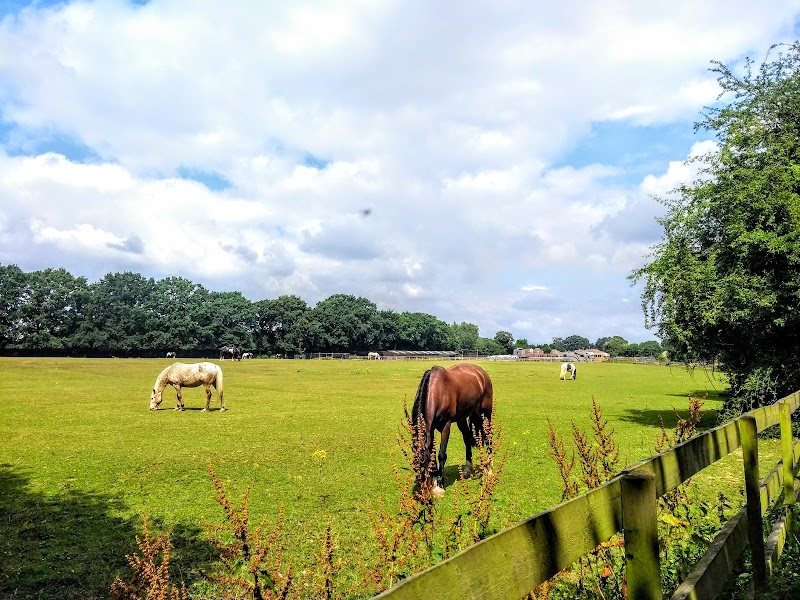 Petts Wood Recreation Ground photo 3