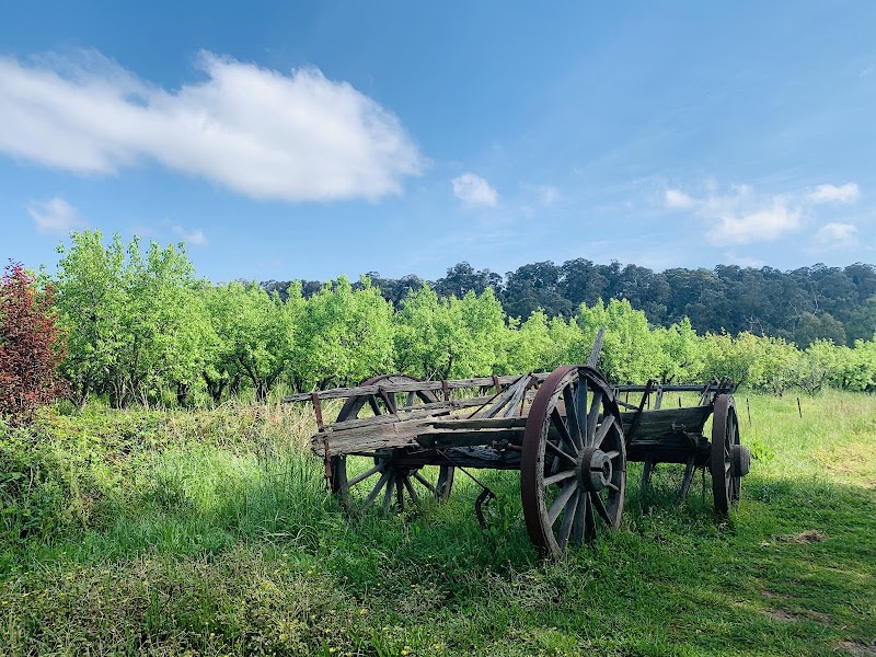 Petty's Orchards