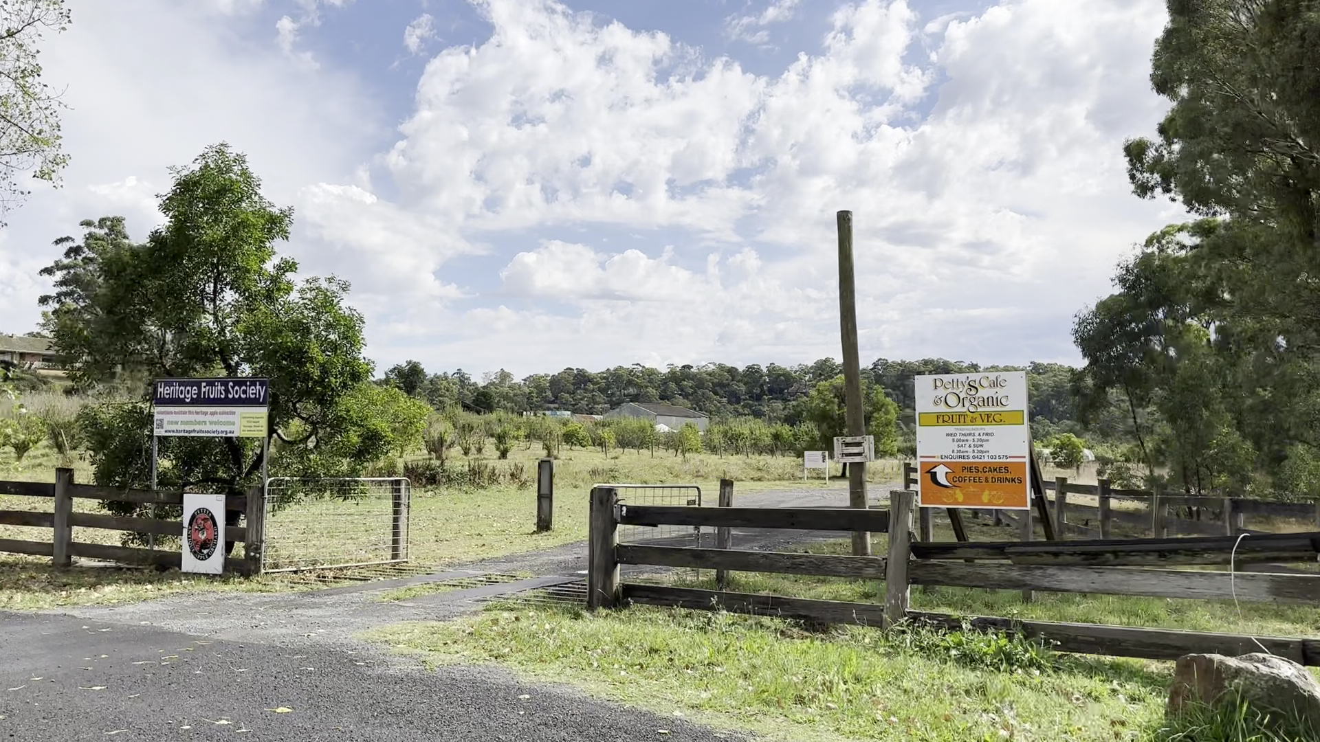 Petty's Orchards photo 2