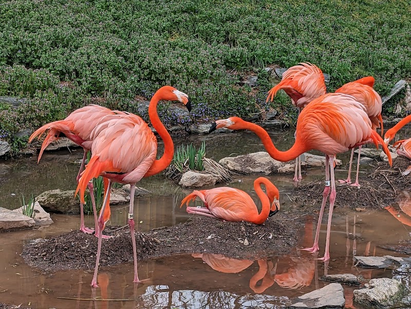Philadelphia Zoo photo 2