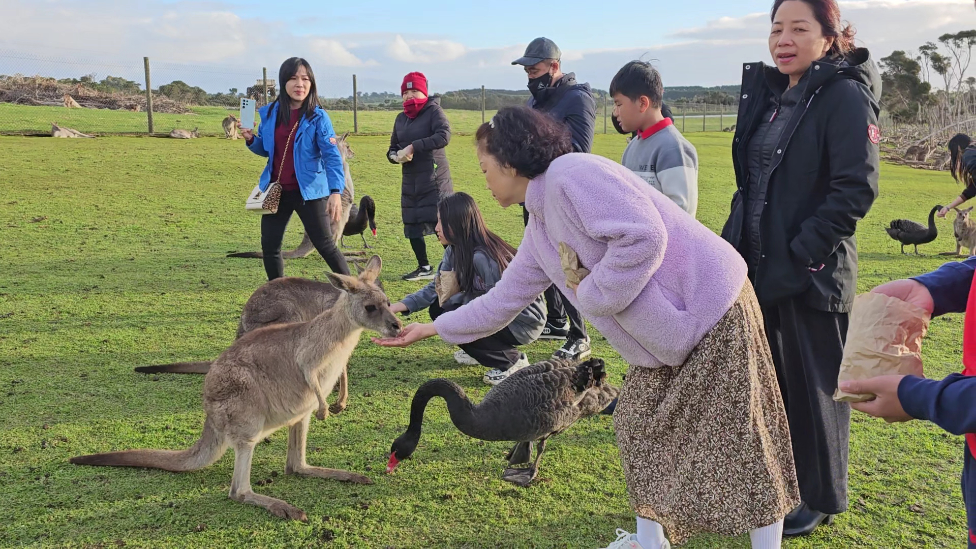 Phillip Island Wildlife Park photo 2