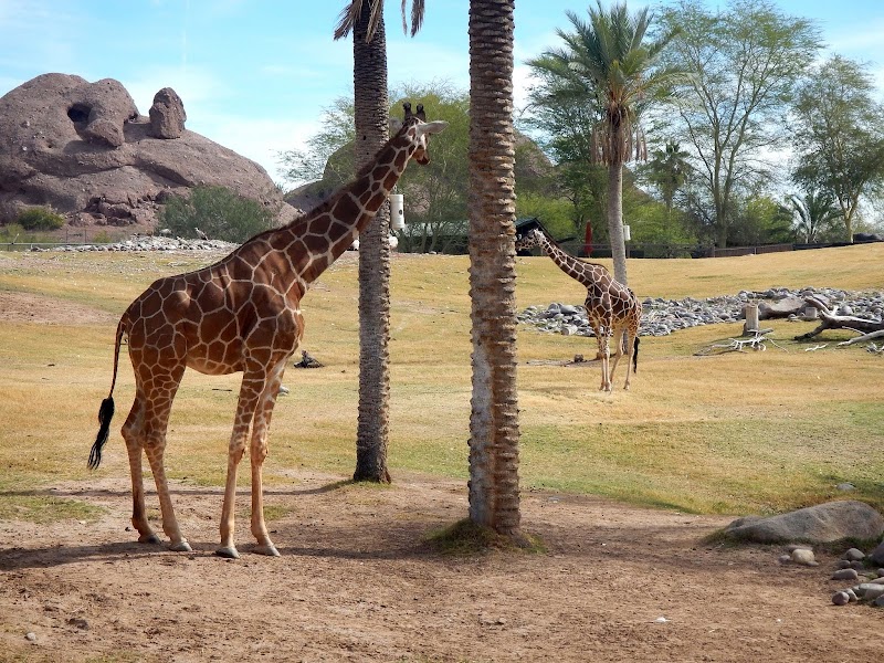 Phoenix Zoo photo 2