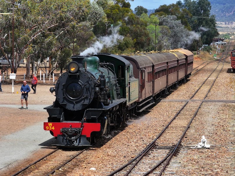 Pichi Richi Railway photo 2