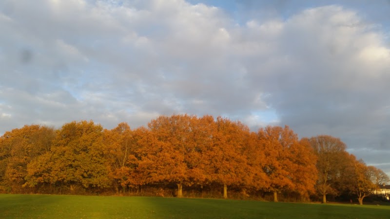 Pickhurst Recreation Ground photo 2