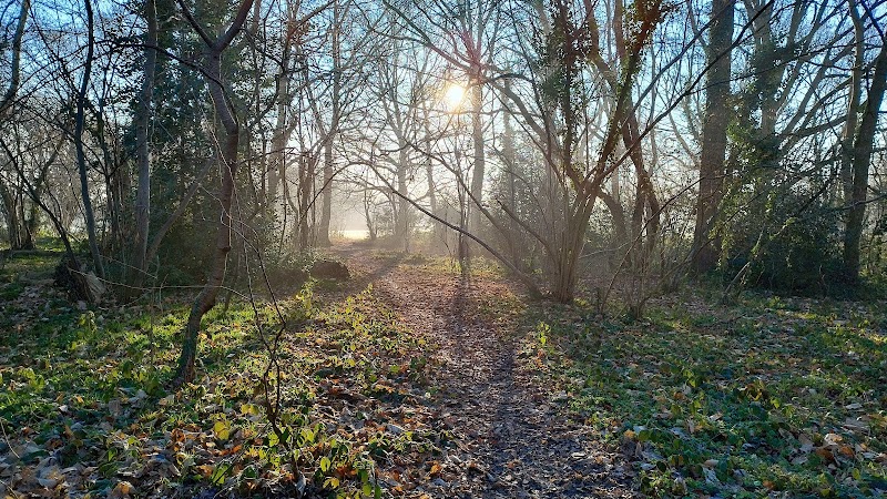 Pickhurst Recreation Ground photo 3