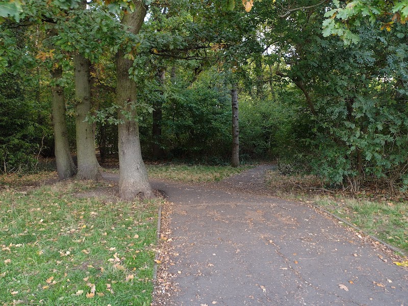 Pickhurst recreation ground playground photo 3