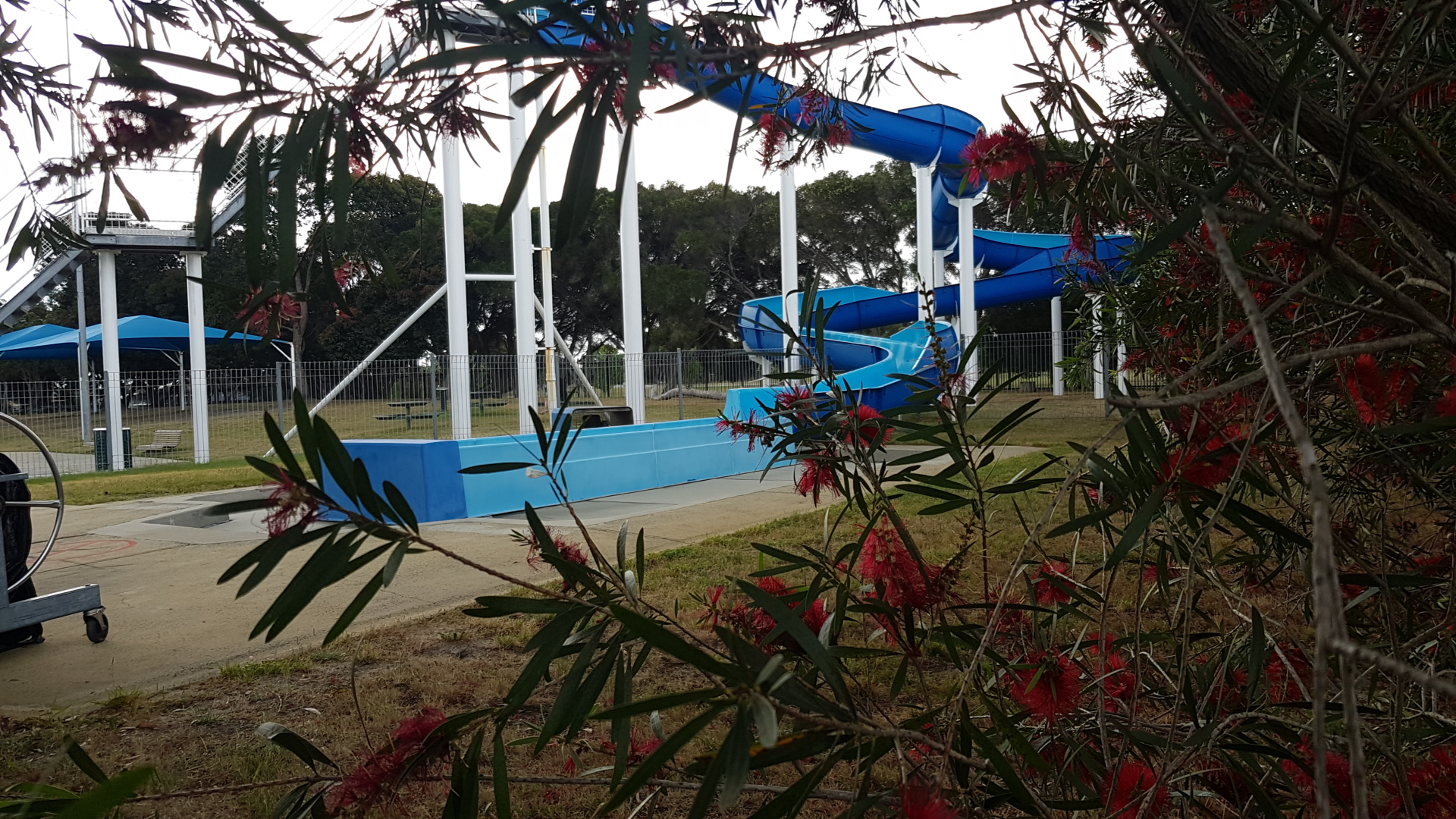 Pines Forest Swimming Centre photo 3