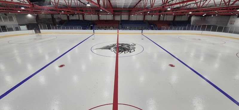 Planet Ice Basingstoke