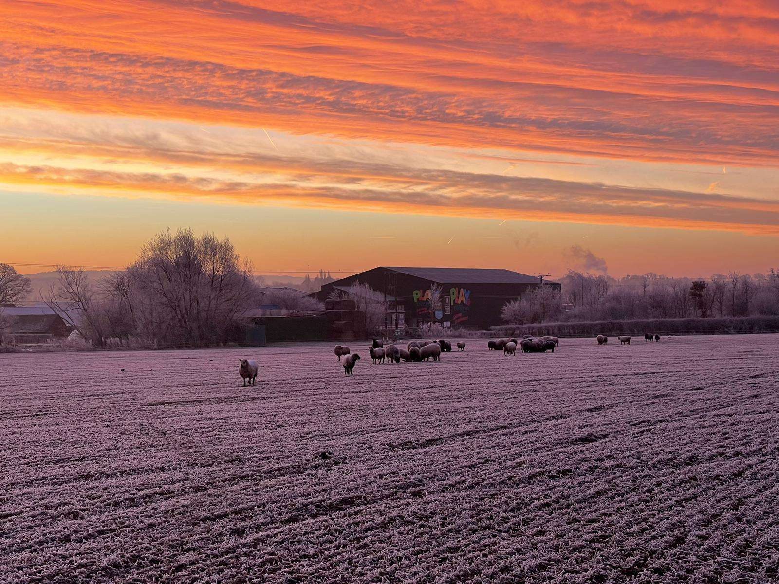 Photo of Play @ Lower Drayton Farm in West Midlands