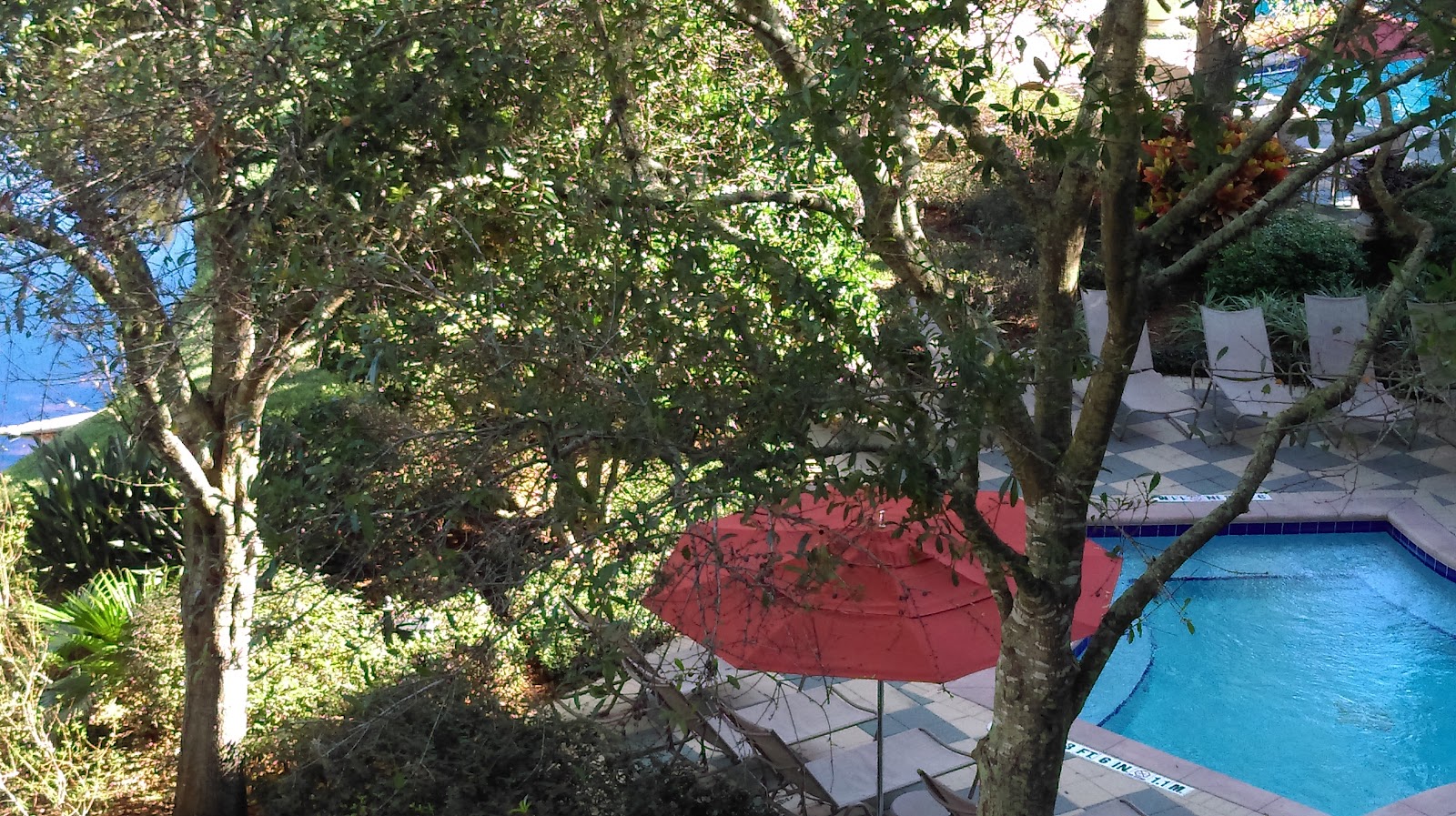 Play Park photo 3