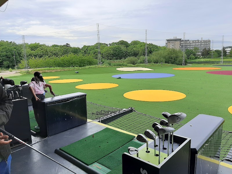 Playgolf Northwick Park photo 2