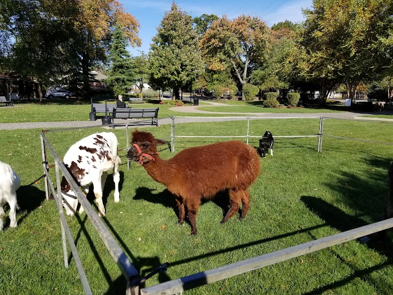 Playground photo 2