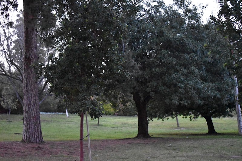 Playground near Elysian Park Picnic Site #4 photo 2