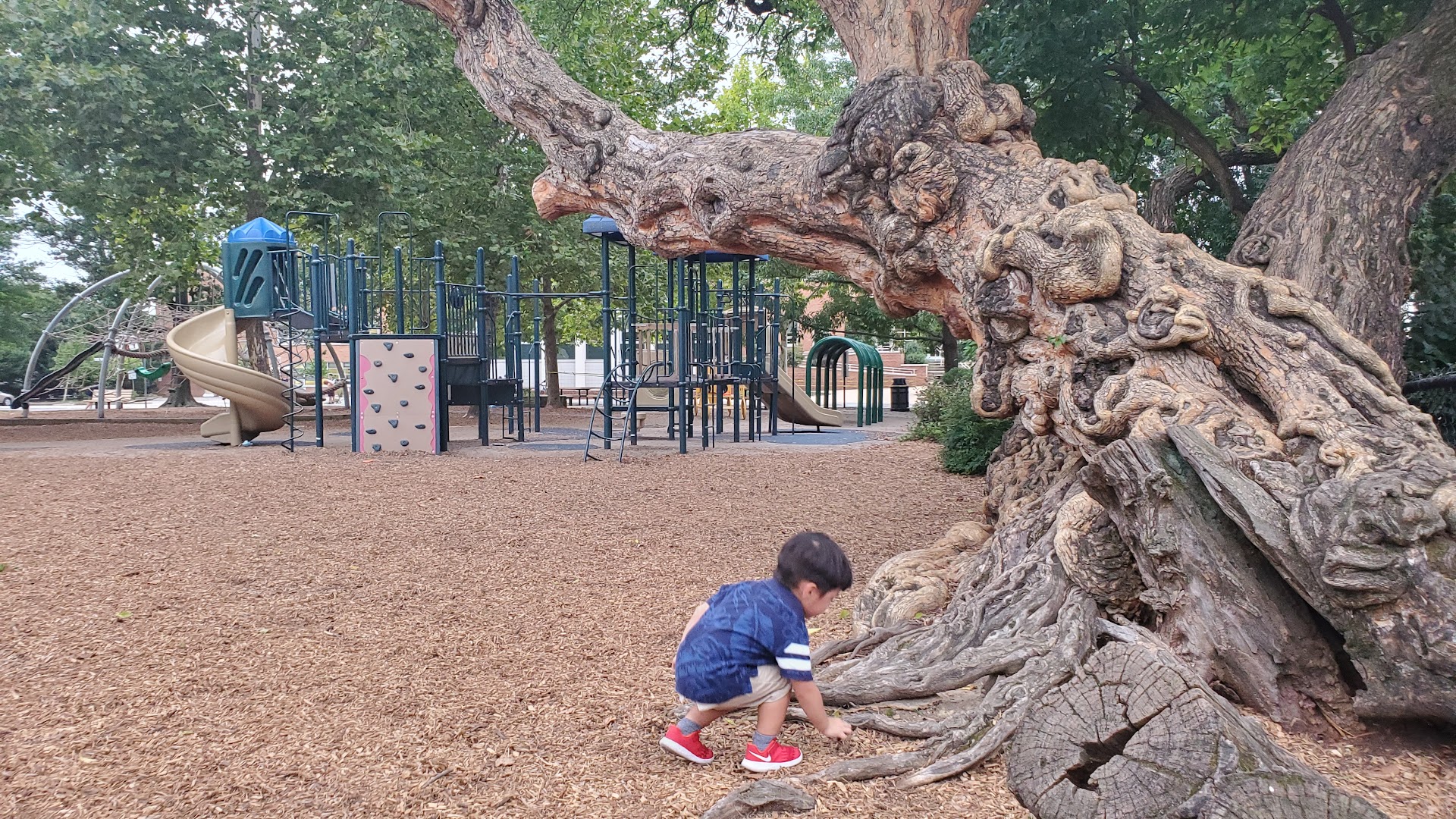 Playground photo 2