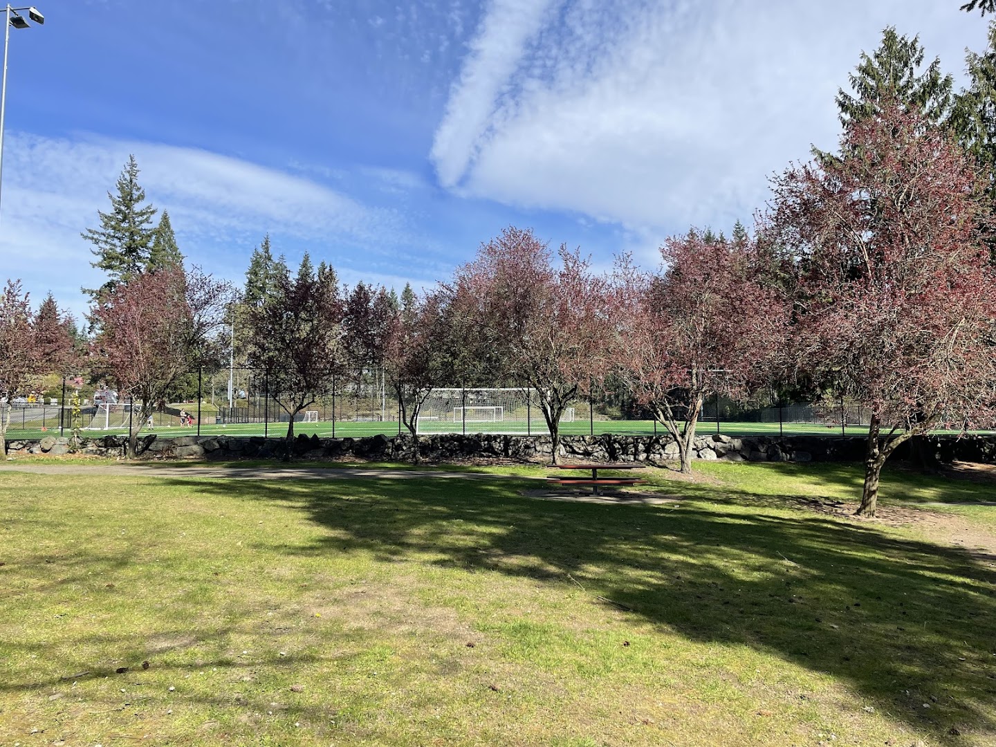 Playground photo 3