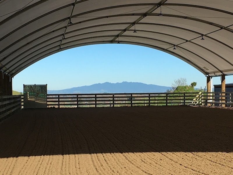 Pleasant View Equestrian photo 2