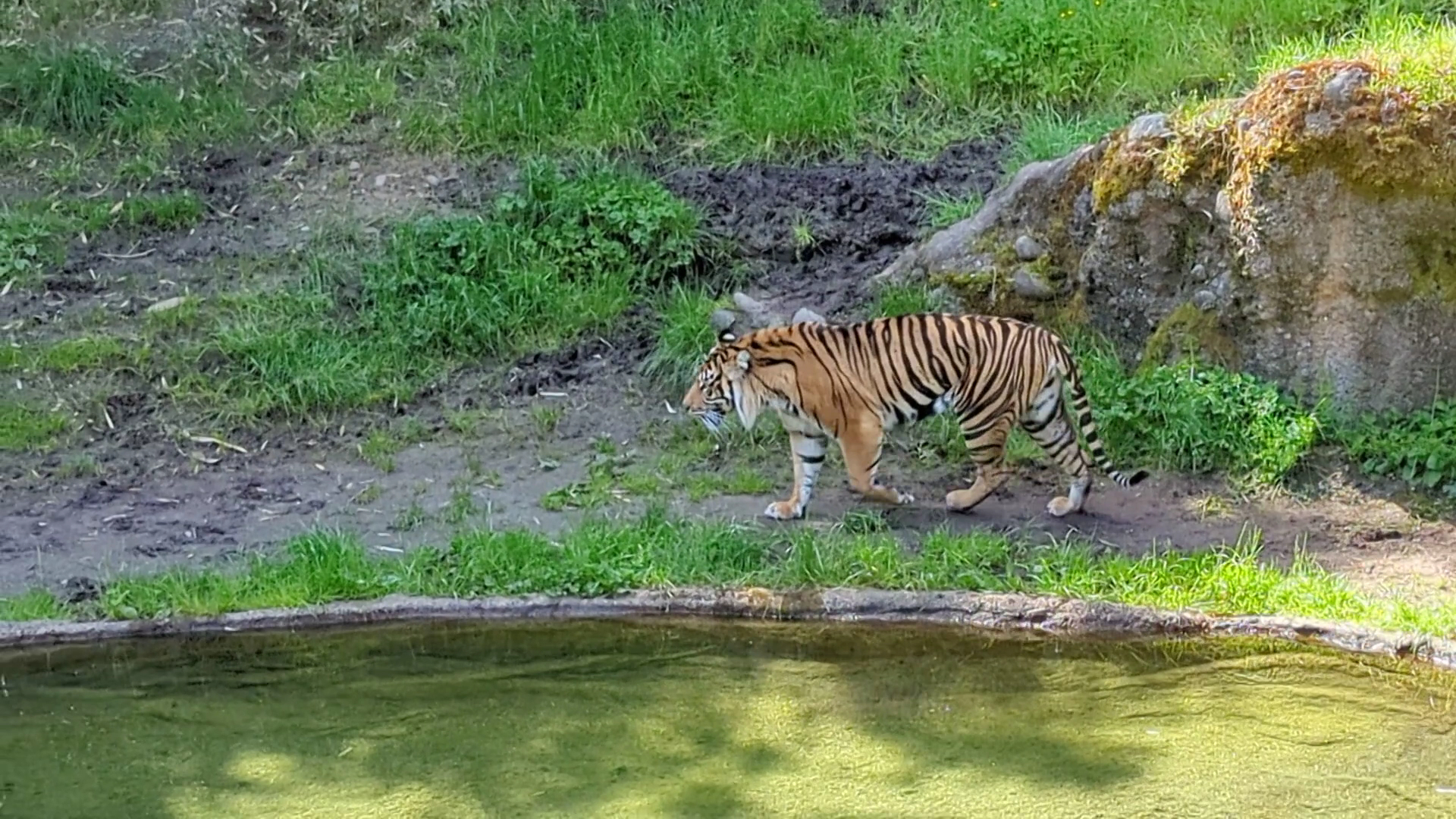 Point Defiance Zoo & Aquarium photo 2