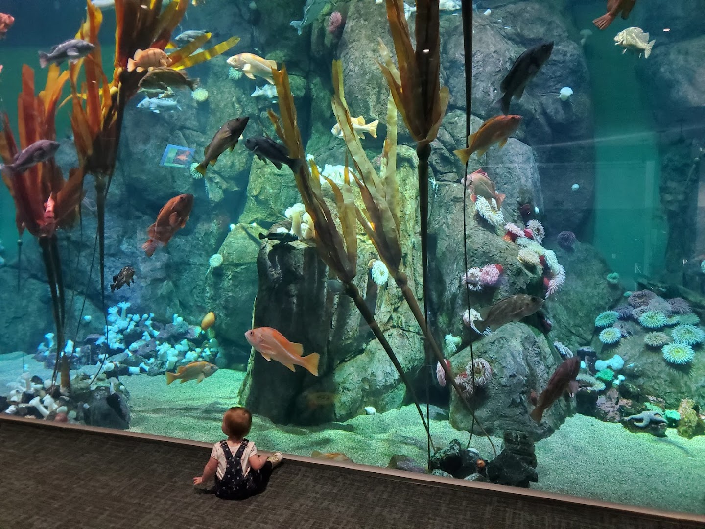 Point Defiance Zoo & Aquarium photo 3