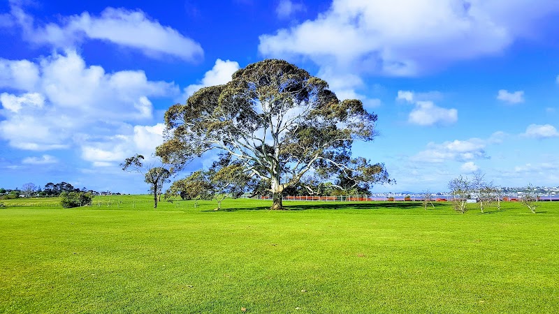 Point England Reserve photo 2