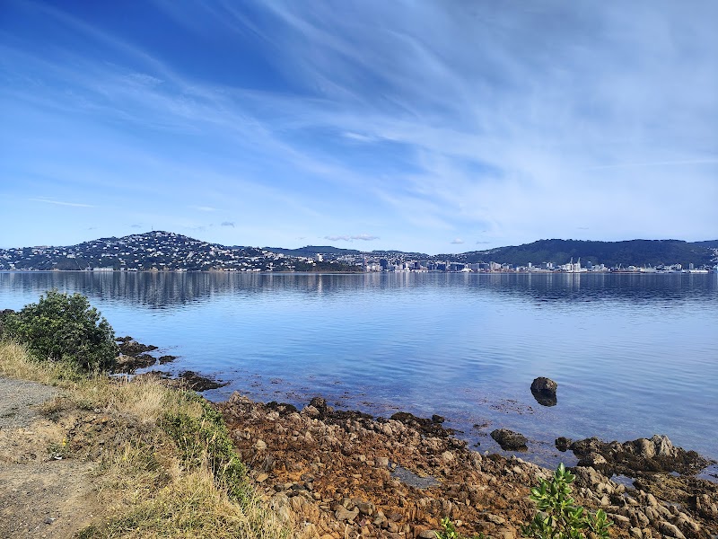 Photo of Point Halswell Lighthouse in Wellington