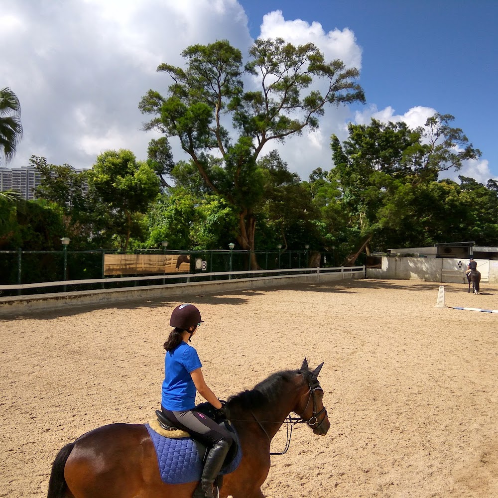 Pokfulam Public Riding School photo 5