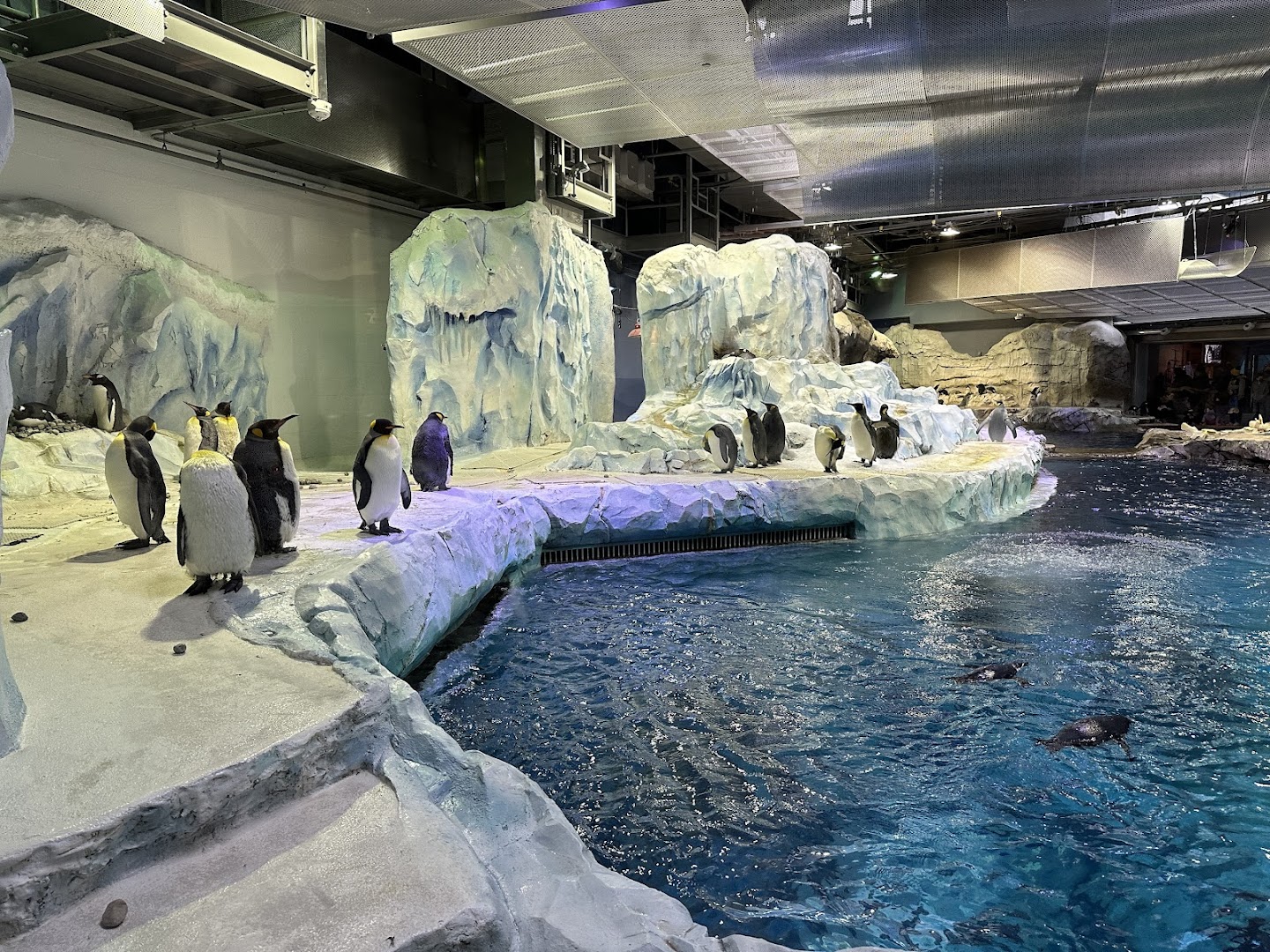 Polk Penguin Conservation Center photo 2