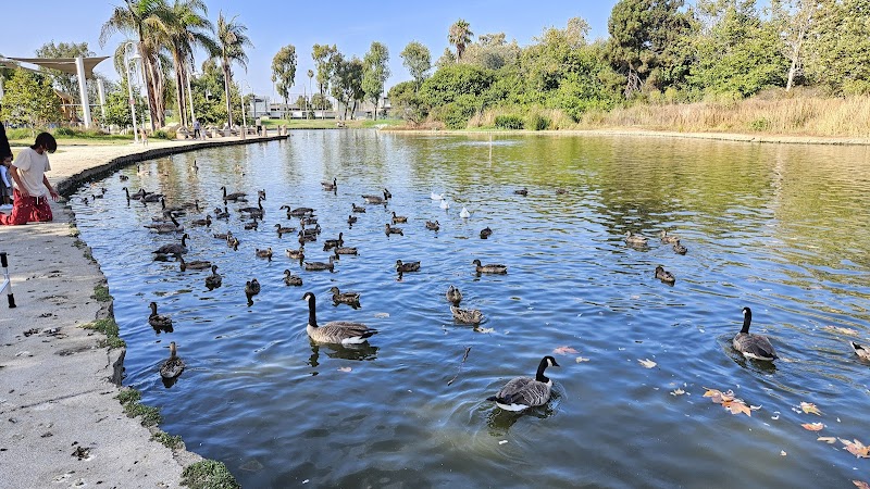 Polliwog Park photo 2