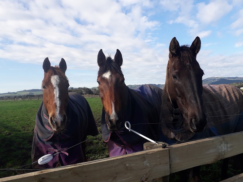 Pongarosa Equestrian Centre