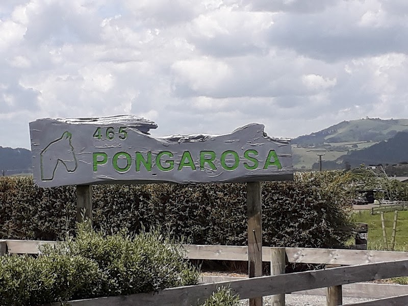 Pongarosa Equestrian Centre photo 2