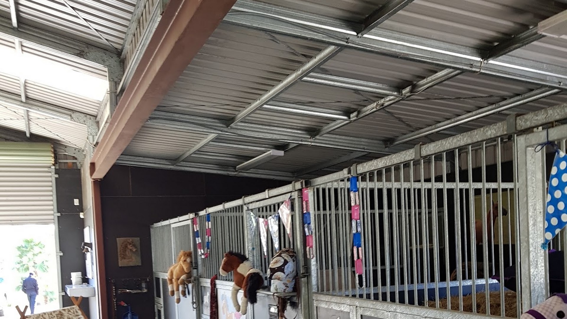 Ponies 4 Parties