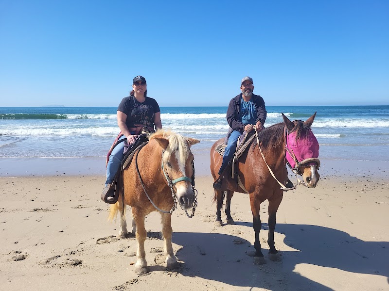 Pony Land: Pony Rides & Petting Zoo photo 2