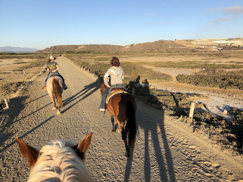 Pony Land: Pony Rides & Petting Zoo photo 3