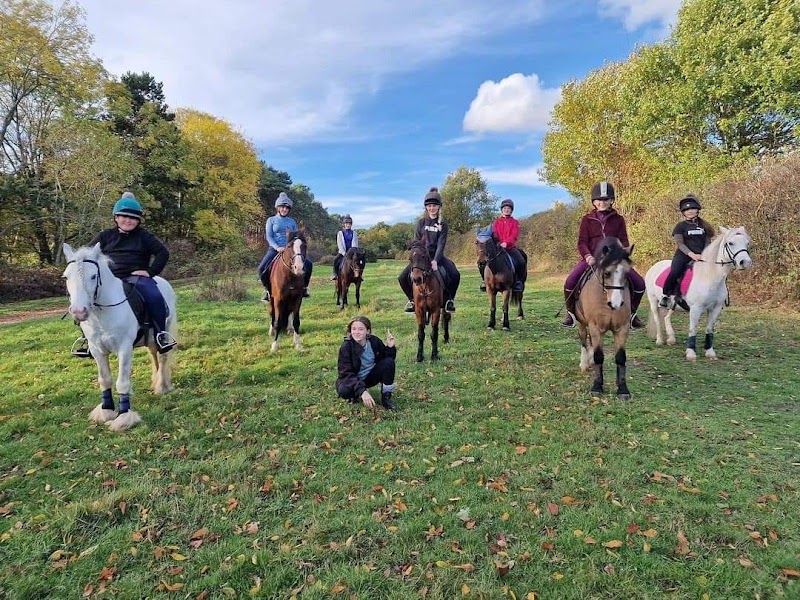 Pony Pals Club