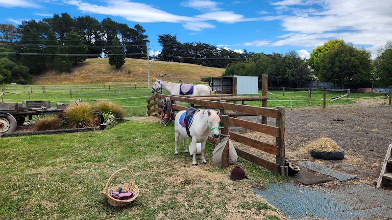 Pony Parties & Farmyard Friends photo 2