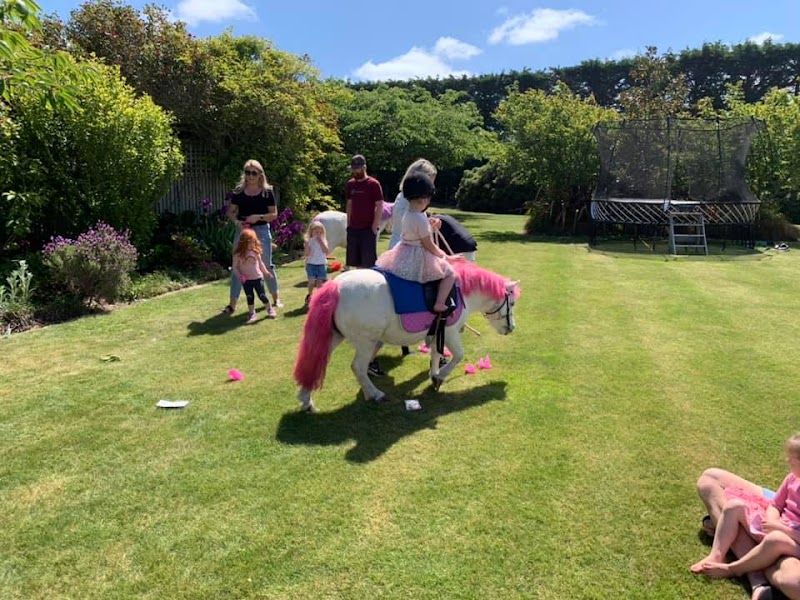 Pony Party Hire