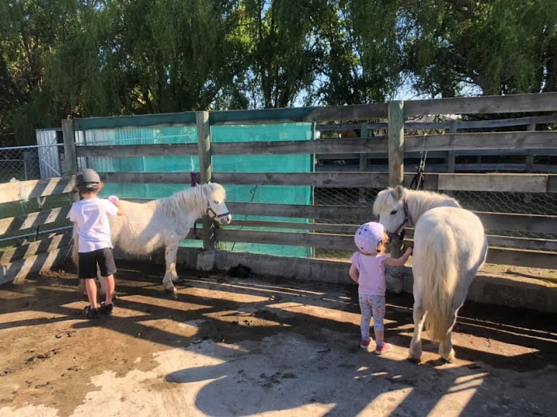 Pony Party Hire photo 2