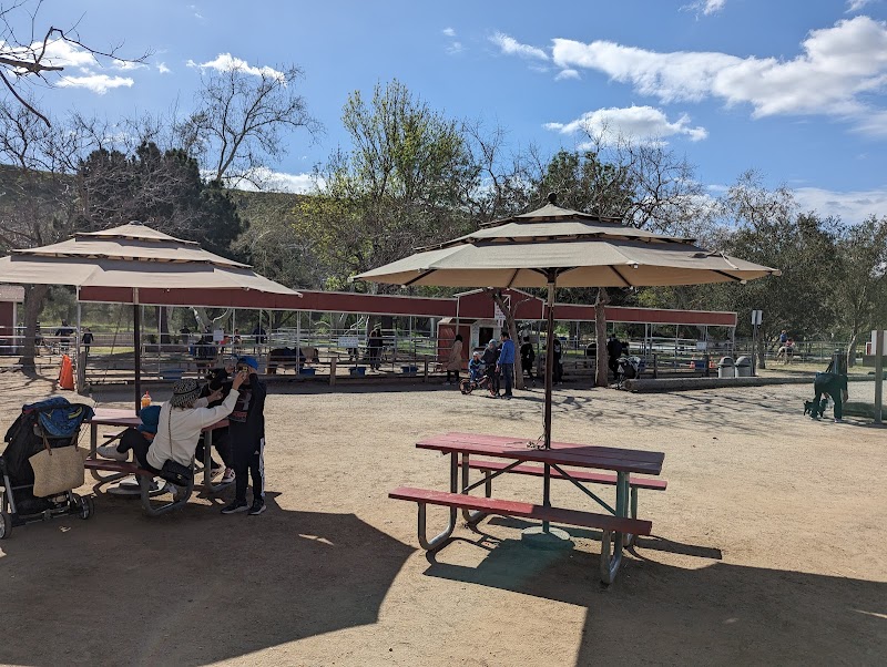 Photo of Pony Rides in California