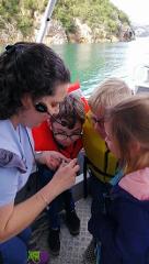 Port to Port Cruises and Wildlife Tours photo 4