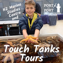 Port to Port Cruises and Wildlife Tours photo 3