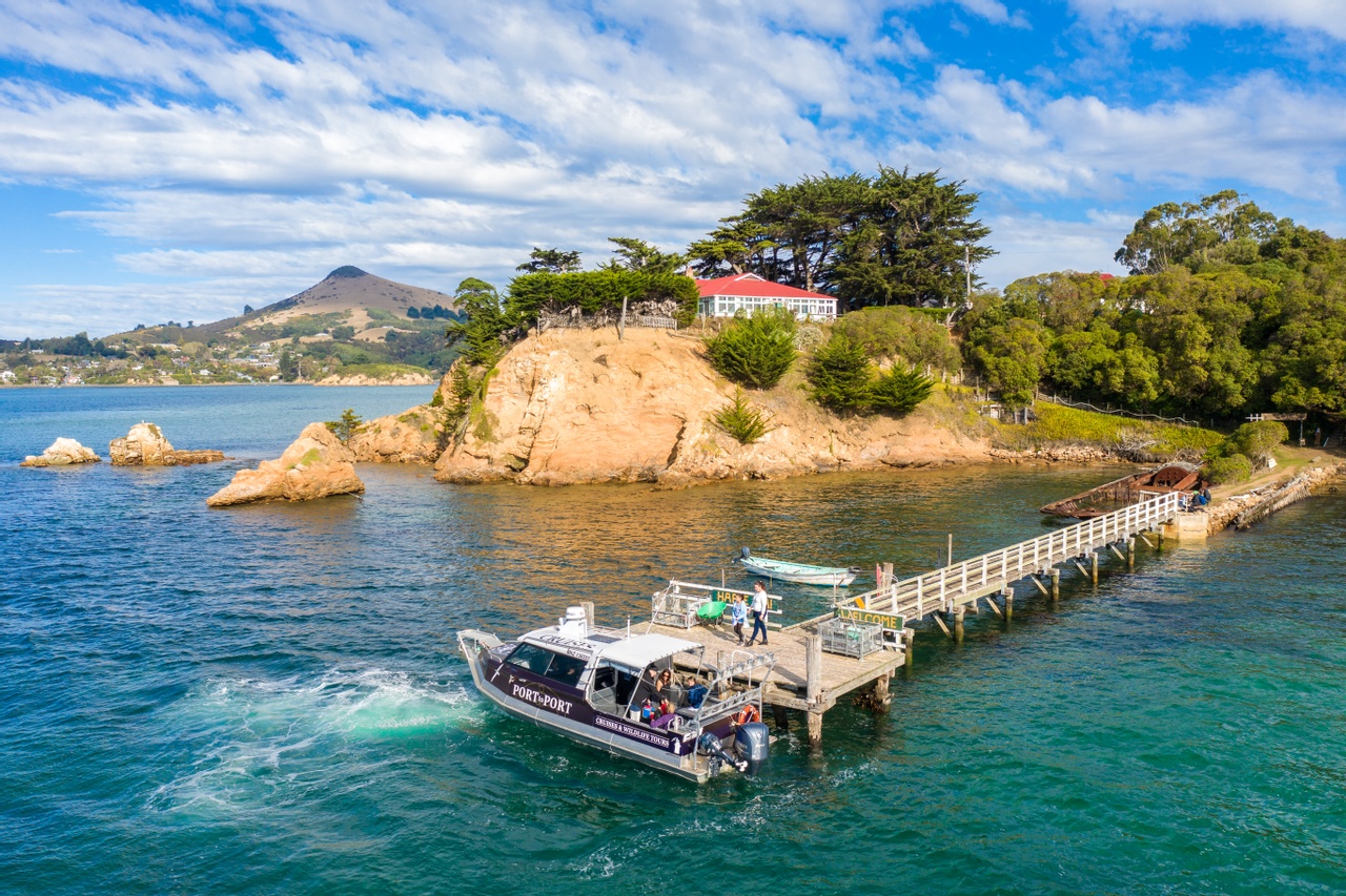 Port to Port Cruises and Wildlife Tours photo 5