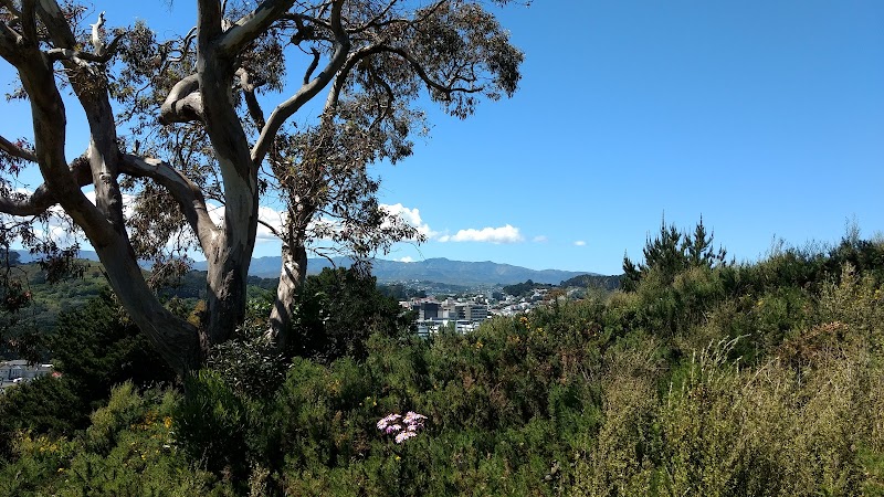 Prince of Wales Park photo 3