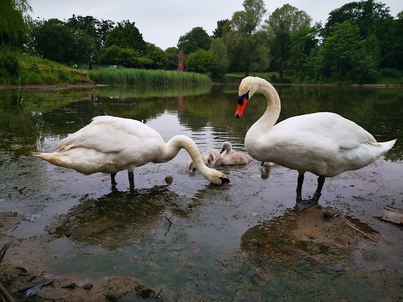 Princes Park photo 2