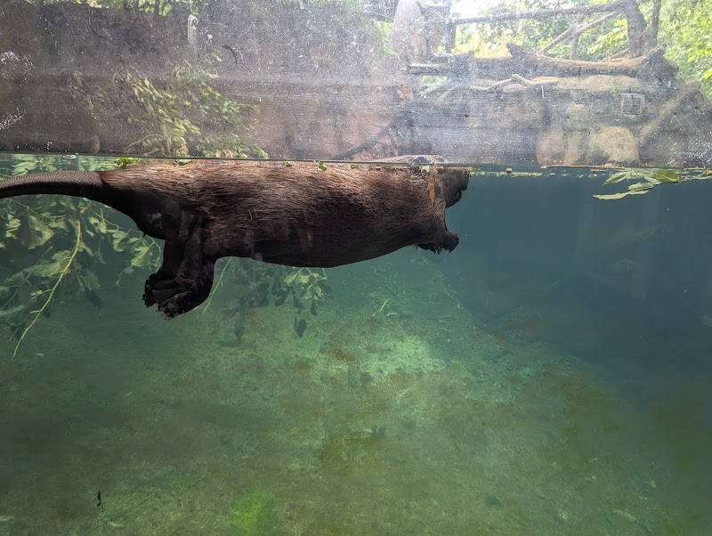 Pritzker Family Children's Zoo photo 2