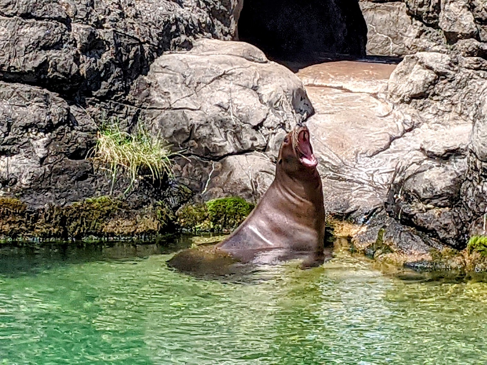 Prospect Park Zoo photo 3