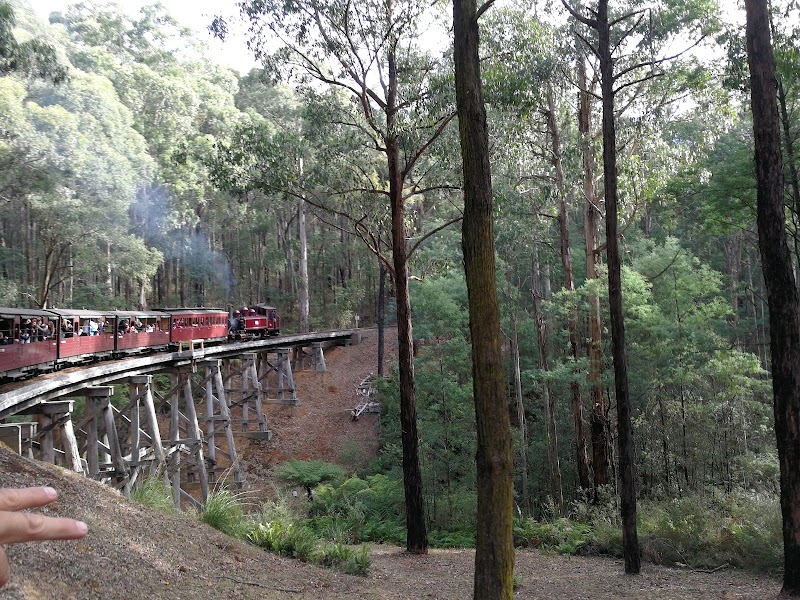 Puffing Billy photo 3