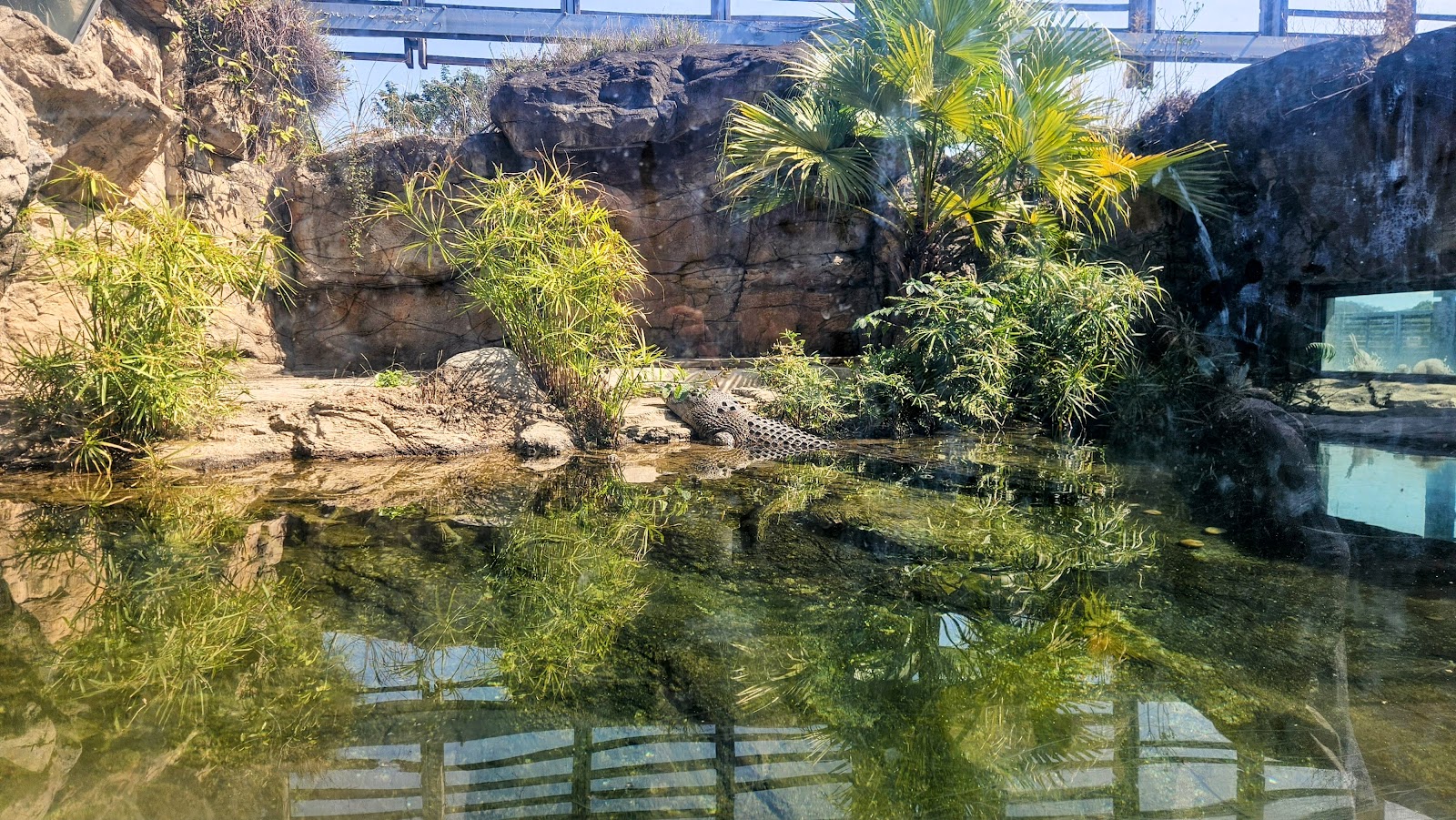 Pui Pui's Home photo 5