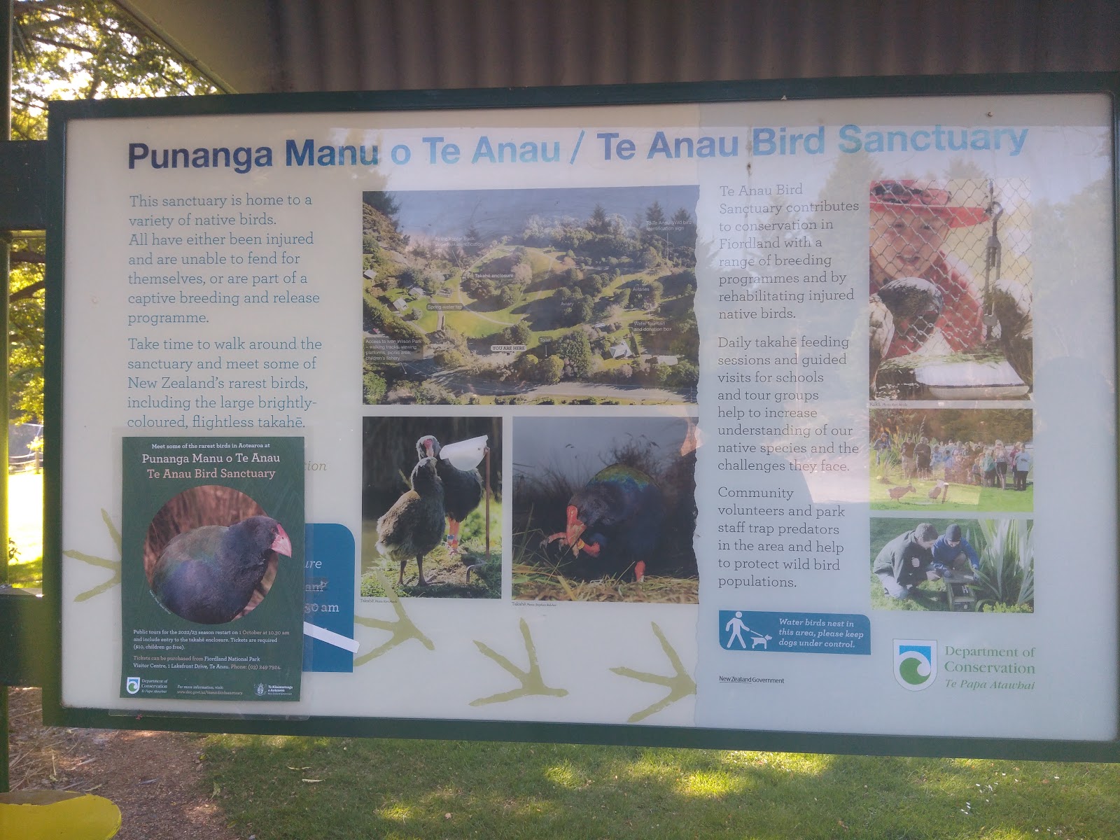 Punanga Manu o Te Anau / Te Anau Bird Sanctuary